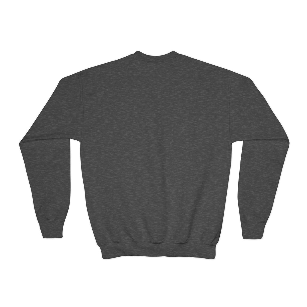 Love Makes A Family Youth Sweatshirt
